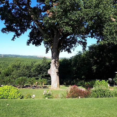 La Chenaie Bed & Breakfast Sainte-Marthe  ภายนอก รูปภาพ